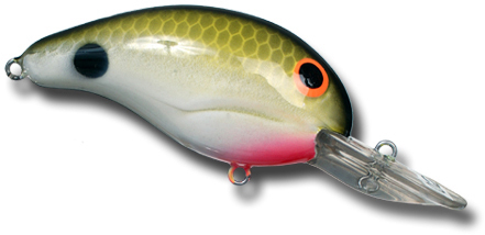 Bandit BDT202 Series 200 Tennessee Shad 2