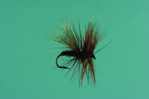 Jackson Cardinal 048-14 Dry Fly 14, Brown Caddis | 027526125703