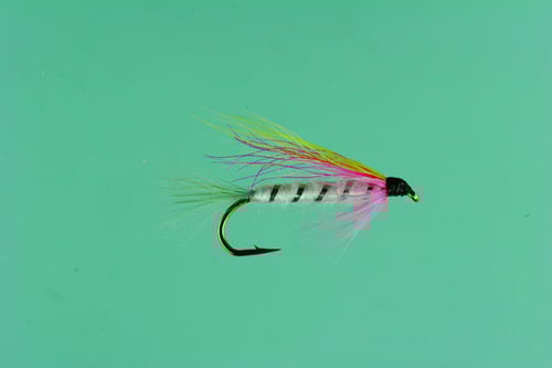 Jackson Cardinal 251-8 Streamer Fly 8, Little Rainbow Trout | 027526125055