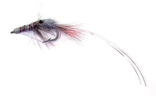 Jackson Cardinal 628-4 Saltwater Fly, 4, Shrimp Grey, 1/Card | 027526143240