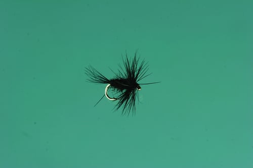 Jackson Cardinal 81718 Dry Fly 18, Black Midge | 027526127486