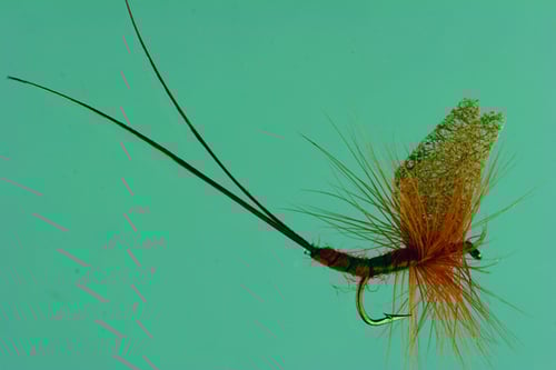 Jackson Cardinal 039-16 Dry Fly 16, Brown Mayfly | 027526125376