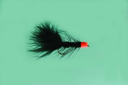 Jackson Cardinal 404-8 Wooly Leech 8, Black Leech-Orange Egg | 027526125161