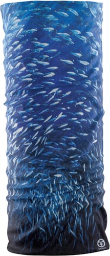 Flying Fisherman SB1685 Bait Ball Sunbandit | 013578503439