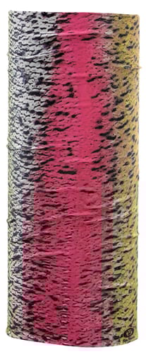 Flying Fisherman SB1722 Rainbow Trout Sunbandit | 013578503927