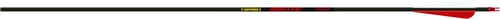 Gold Tip HUN340A4 Hunter Carbon Hunting Arrows, 32