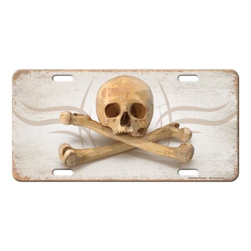 Rivers Edge 2697 Vanity License Plate 12in x 6in - Skull and | 643323926970