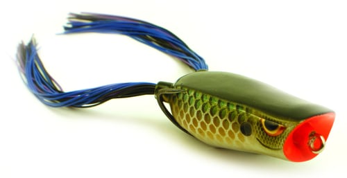 Spro SBEPP60KLGL Dean Rojas Bronzeye Popper Frog 60, 2 1/2