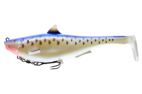 Spro SMJ6CMT Megalojohn Swimbait 6 Inch, 2oz, Cell Mate | 651583155962