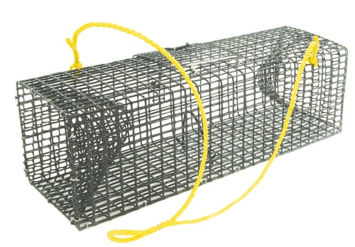 Willapa 00120 Crawfish Trap US Made | 607119001203