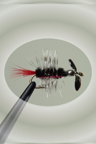 Pistol Pete 100022PK Trout/Panfish Fly, Sz 10, Black Striped, 2/Pack | 724017102020