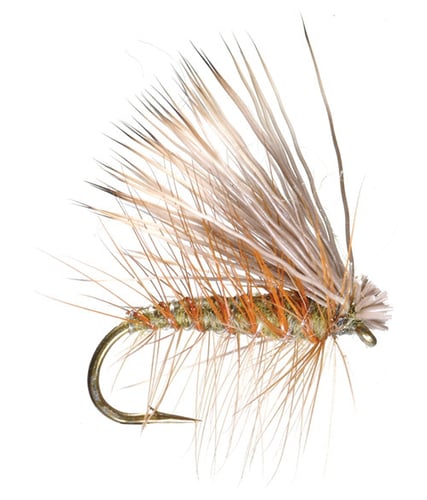Shamrock 28269 Elk Caddis Adams Dry Fly, 10, Olive | 052857282696