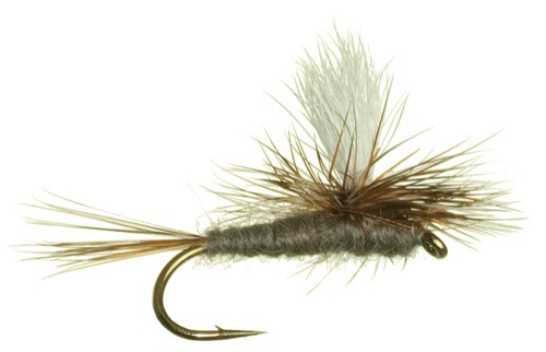 Shamrock 28306 Parachute Adams Dry Fly, 14 | 052857283068
