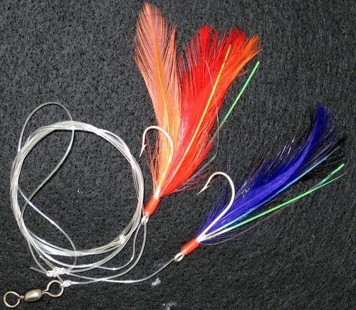 Pacific Catch 505 Rock Cod Rig 3/0 Feamy Asst | 751841105057