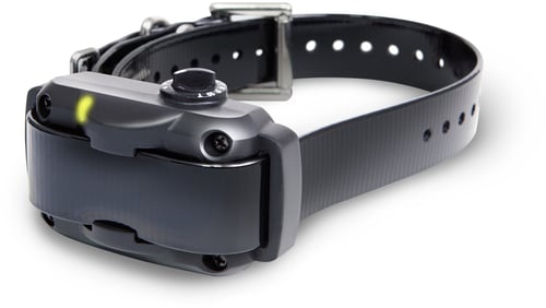 Dogtra YS600 Rechargeable Waterproof High-Output No Bark | 644622050090