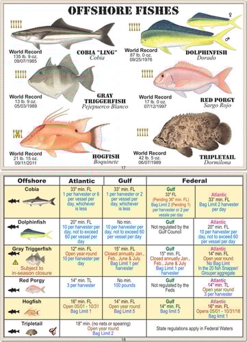 SW Fish ID 9781734548037 Florida Saltwater Fish ID, 15th Edition | 094922307484