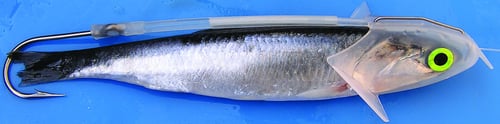 Shelton AFBRCLRIG Franko Bullet RotatorFBR 30lb Clear | 819589000352