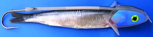 Shelton AFBRUVRIG Franko Bullet RotatorFBR 30lb UV | 819589000093