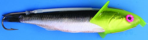 Shelton HFBRCHRIG Herring FBR 30lb Char | 819589000512