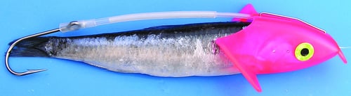 Shelton HFBRRDRIG Herring FBR 30lb Red | 819589000529