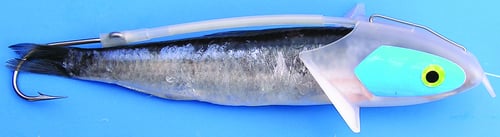 Shelton HFBRUVRIG Herring FBR 30lb UV | 819589000079