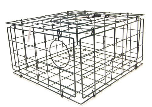 SMI 19019 Crab Trap Rect Collapsible VC 4Gate 24x21x12 | 094628190199