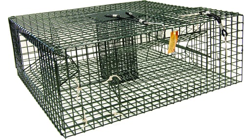 SMI 19081 Shrimp Trap AK Square 4Entr 25x25x9.5 w/BC 7/8 Inchx7/8 Inch | 094628190816