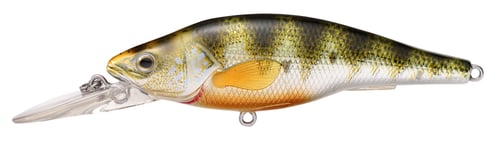 LiveTarget YP73M102 Yellow Perch Medium Dive Crankbait, 3'-5, 2-7/8