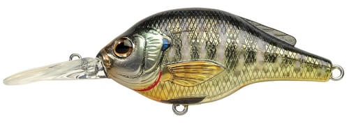 LiveTarget BG70M102 Sunfish Bluegill Medium Dive FlatSide | 697713200560