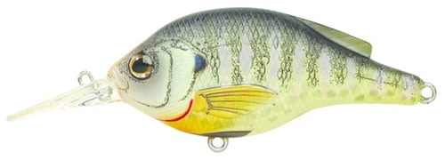 LiveTarget BG70S100 Sunfish Bluegill Shallow Dive FlatSide | 697713200577