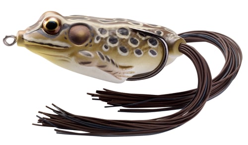 LiveTarget FGH65T502 Frog Hollow Body Topwater Lure, 2 5/8