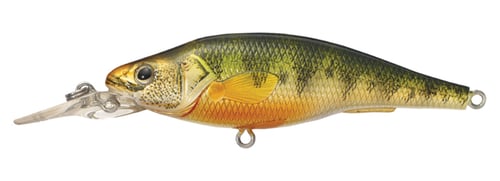 LiveTarget YP73M106 Yellow Perch Medium Dive Crankbait, 3'-5, 2-7/8