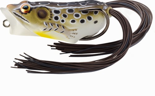 LiveTarget FHP65T502 Frog Hollow Body Popper Topwater Lure, 2 1/2