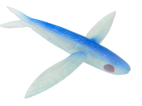 Frenzy BFFBLU Ballistic Flyer Unrigged Flying Fish, 8 Inch, Blue | 896019000106