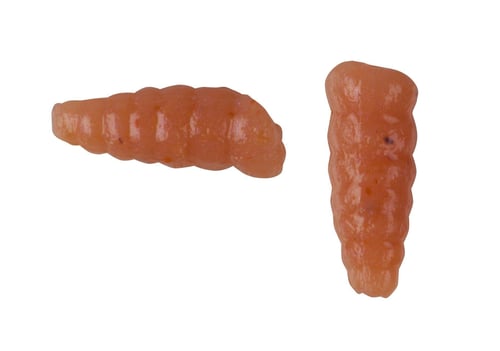 Berkley GHWXNAT Gulp Waxies 1/2 Inch Natural 30pk | 028632000175