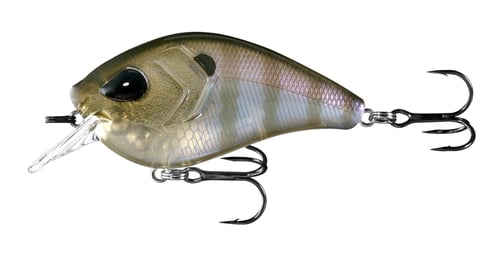 13 Fishing FD6561 Flatty Daddy  Flat Sided Crankbait  2.5 Inch  1/2oz | 810039110461