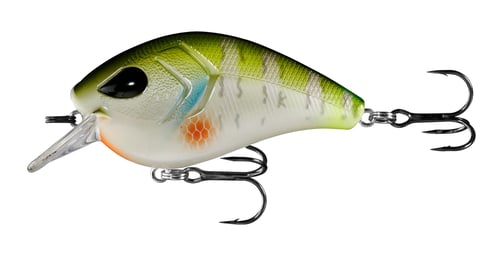 13 Fishing FD65-6-8 Flatty Daddy - Flat Sided Crankbait - 2.5