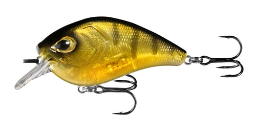 13 Fishing FD65-6-65 Flatty Daddy - Flat Sided Crankbait - 2.5