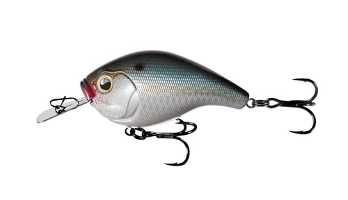 13 Fishing JJC60-14 Jabber Jaw - Hybrid Squarebill - 2.3