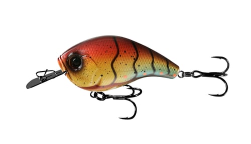 13 Fishing JJC60-77 Jabber Jaw - Hybrid Squarebill - 2.3