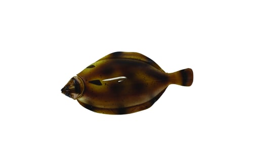 Westin S080120087 Flat Matt Halibut/Flounder Jig, 14 1/8 oz. 9 | 5707549258354