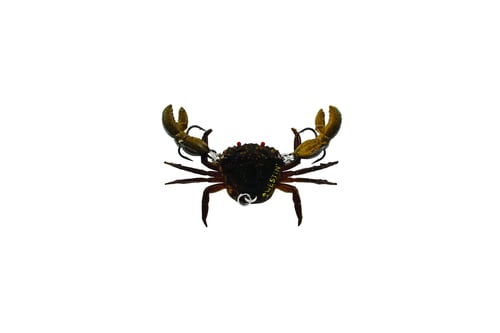 Westin S070279081 Coco The Crab 3/4 Inch, 1/5oz, Mud Crab | 5707549332504
