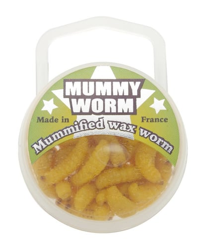 Eurotackle 00102 Mummy Worm  Preserved wax worms , Yellow | 811504030017