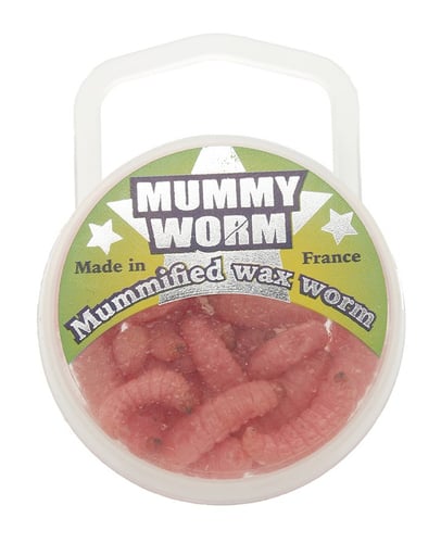 Eurotackle 00104 Mummy Worm Preserved wax worms, Pink, 35+/pack