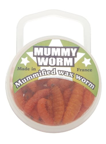 Eurotackle 00106 Mummy Worm Preserved wax worms, Orange