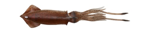 Savage Gear 63598 3D TPE Swim Squid 7 Inch 2 1/5 oz Brown 1pcs | 840004217000