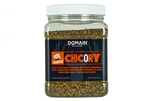 Domain DCS1LB Chicory Pounder, 1 lb., 1/8 Acre | 850033777307