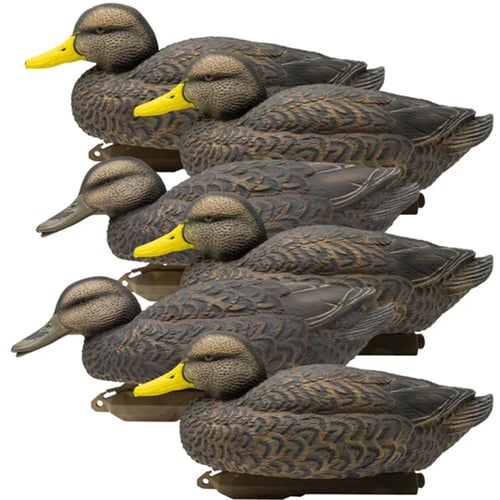 Higdon Legacy Magnum Black Duck Decoys Foam Filled 6/ct | 710617171030