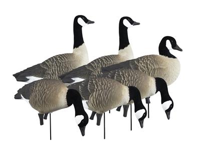 Higdon Outdoors APEX Full-Size Full-Body Variety Pack - Canada Goose