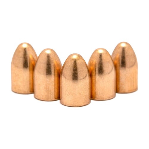 Atlanta Arms Handgun Bullets .380 100gr FMJ 250 Box | 850062060036